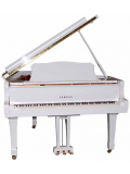 GC1 (Polished White), зображення 2